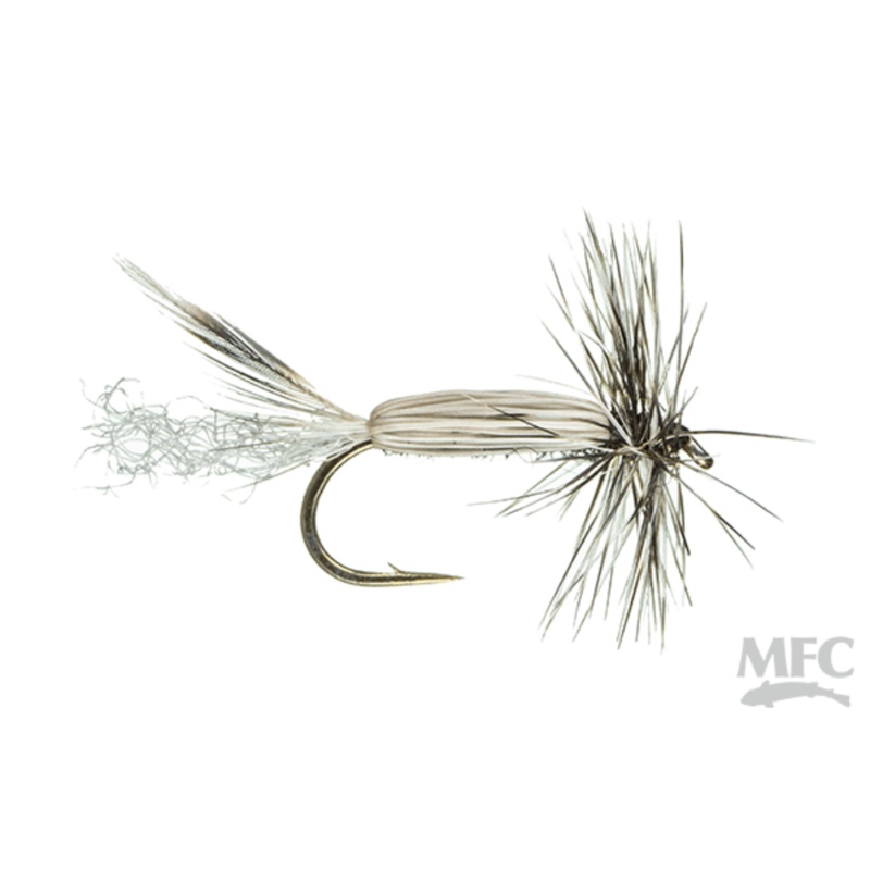 Chan’s Lady McConnell|12|14|16|18