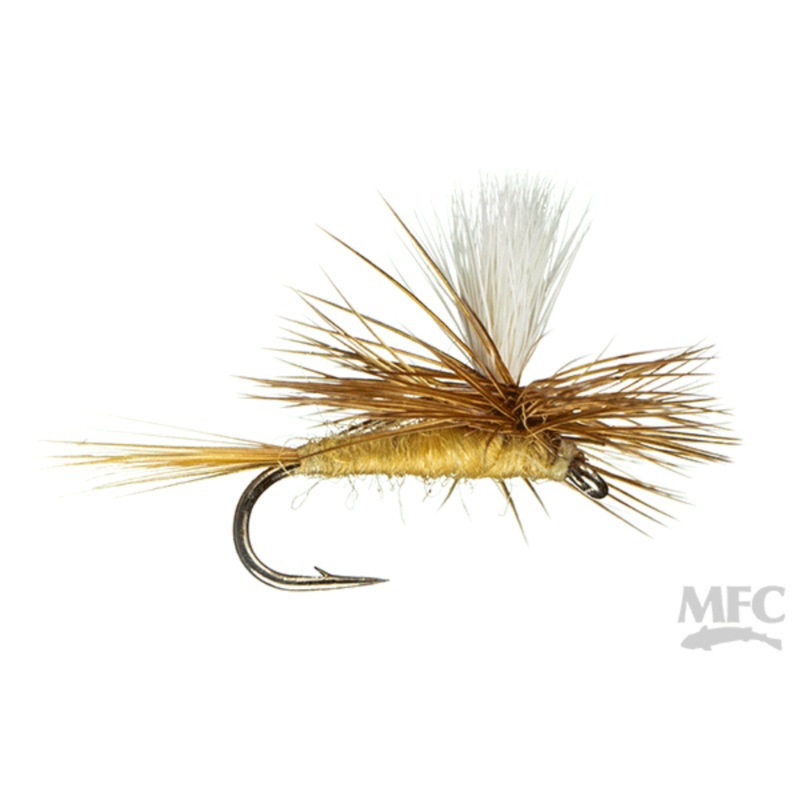 Parachute Sulphur|14|16|18