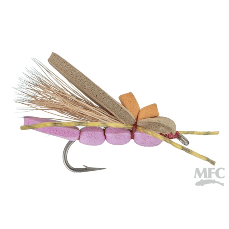 Reiner’s Pink Pookie|8|10