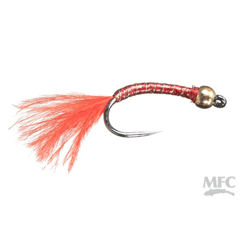 Rowley’s Holo Worm #12