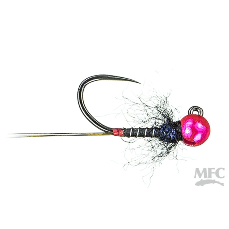 Van Rensberg’s Periwinkle – Black