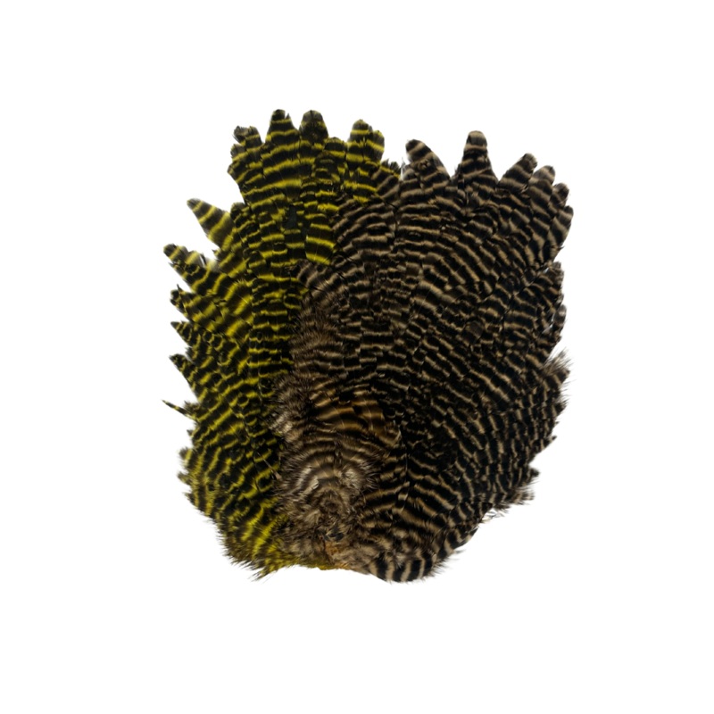 Wapsi – Grizzly Hen Saddles|Fl. Chartreuse|Purple|Yellow|Olive|Gold|Sand|Natural|Brown