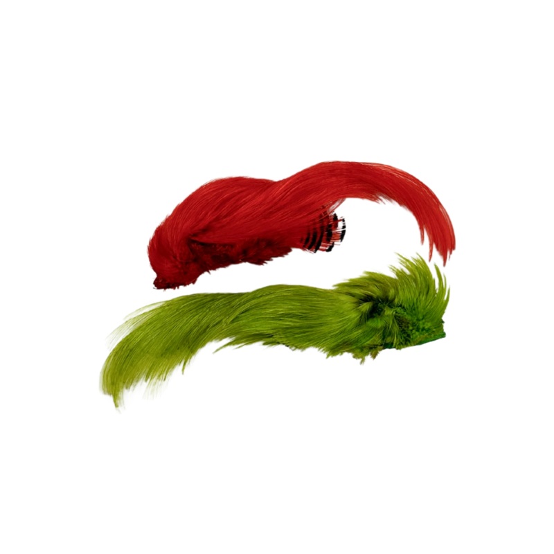 OFISHL Golden Pheasant Crest Only