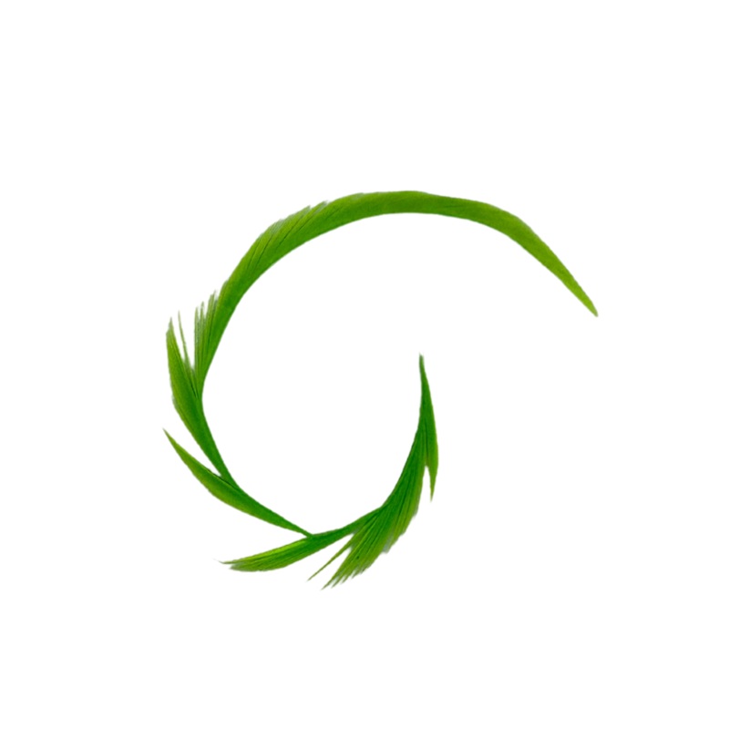 Successful Angler Goose Biots|Fl. Red|Fl. Green|Sunburst