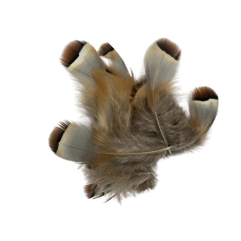 Wapsi Chuckar Feathers|Loose – Natural