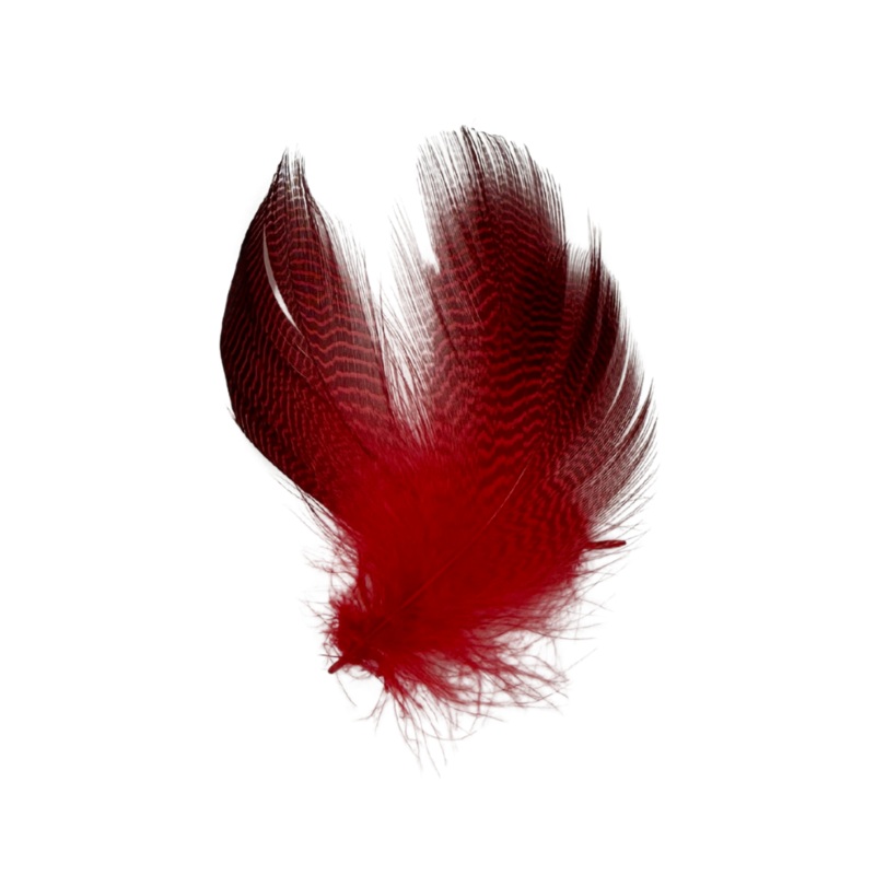 Wapsi Gadwall Barred Flank|Red|Peacock Blue|Natural