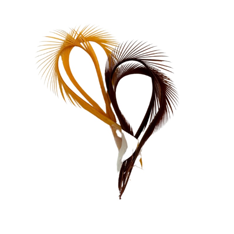 Wapsi Goose Biots|Natural Gray|Light Olive|Yellow|White|Dyed Dun|Black|Tan|Dk. Brown|Rusty Brown|Ginger|Light Cahill|Olive|Blue Wing Olive|Red|Caddis Green|Sulphur Orange|Amber