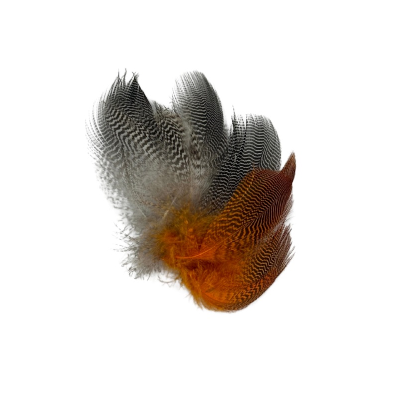 Wapsi Teal Barred Flank|Olive|Wood duck|Blue|Natural|Purple|Fl. Orange|Fl. Pink|Fl. Chartreuse