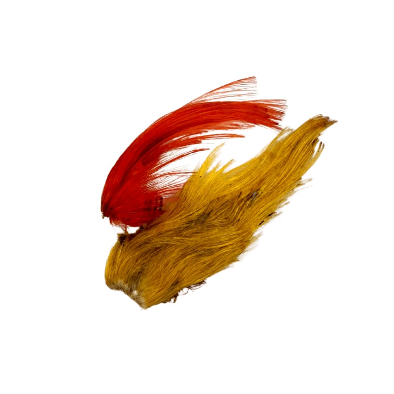 Golden Pheasant Crest Only – 2 Pack