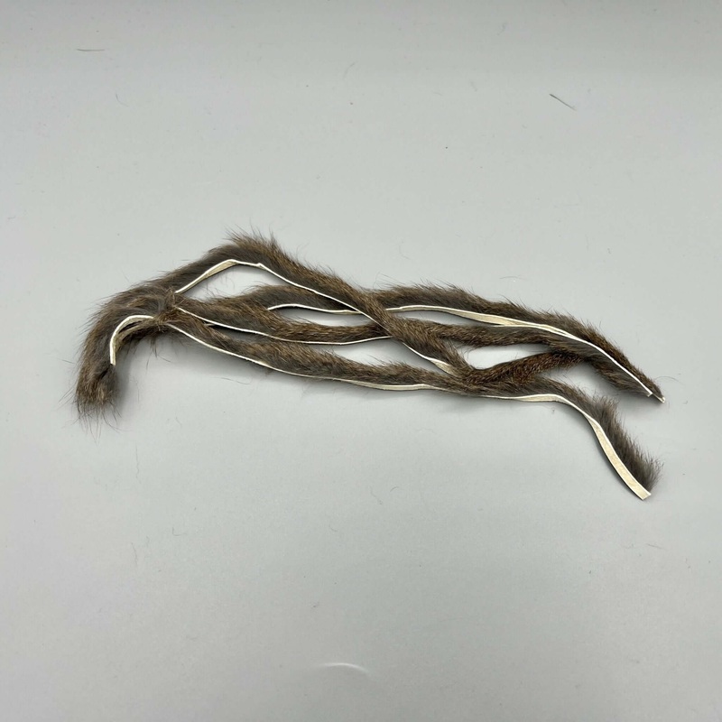 OFISHL – Gray Squirrel Zonkers