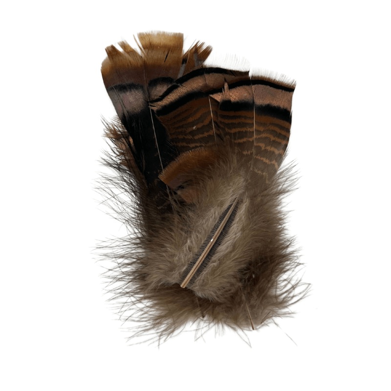 Ozark Iridescent Turkey Tail