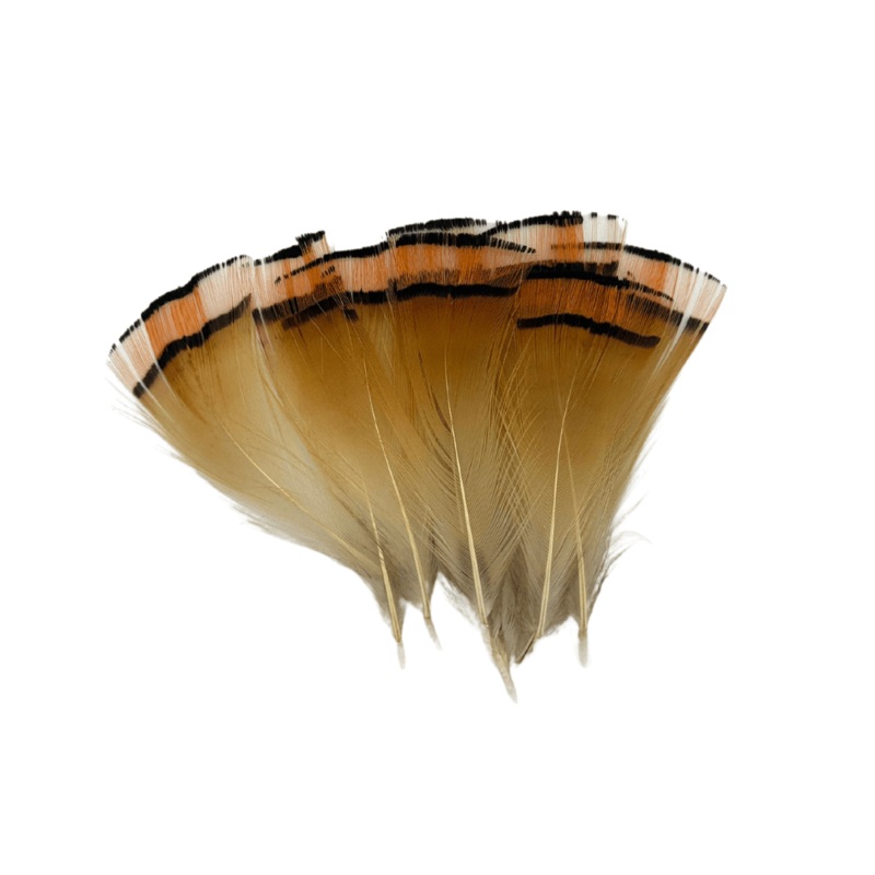 Golden Pheasant Tippet|Large|Small|Medium