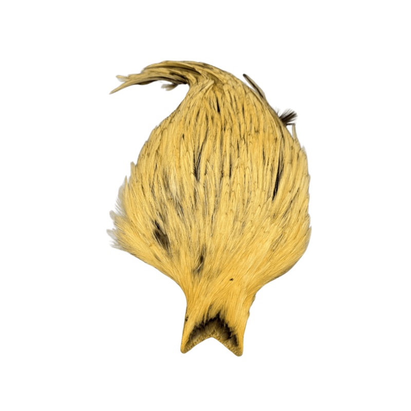 Golden Straw Neck