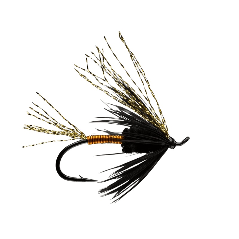 RIO – Copper Top|4|6