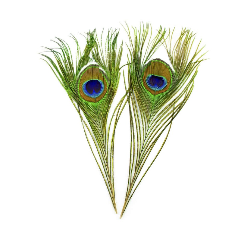 Shor – Peacock Eyes 12 (Pair)