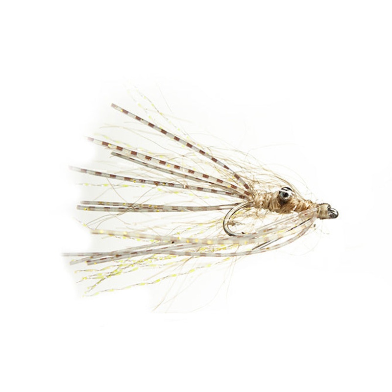 Alters’ Ghost Shrimp|Tan|4