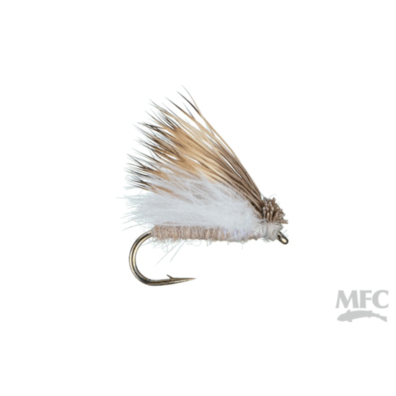 Jake’s Richter Scale Spruce Moth