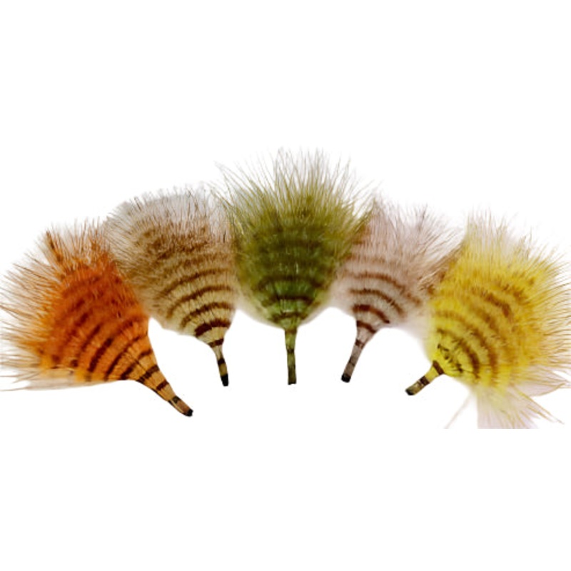 MFC – Mini Barred Buggerbou|Orange/Brown 2 Inch|Brown/Black 2 Inch|Olive/Brown 2 Inch|Tan/Brown 2 Inch|Yellow/Brown 2 Inch|Olive /Black 2 Inch|Yellow/Black 2 Inch|Burnt Orange/ Black 2 Inch|Black/White 2 Inch