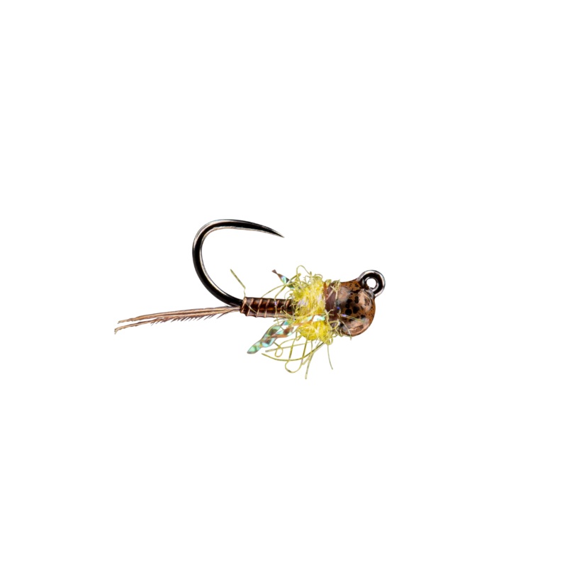 RIO’s Tung Tied PMD|16