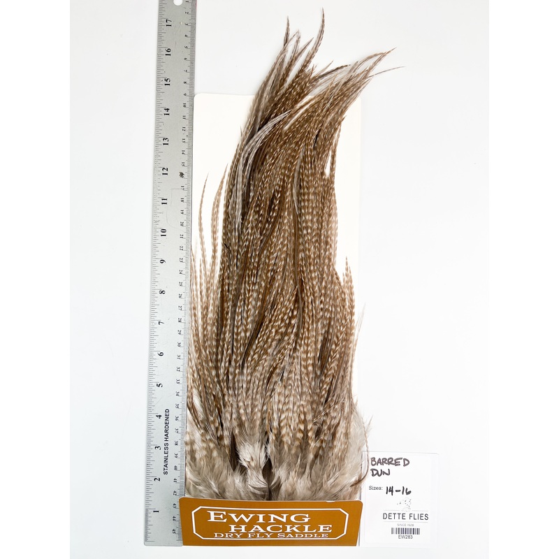 Barred Dun – Ewing Dry Fly Rooster Saddle