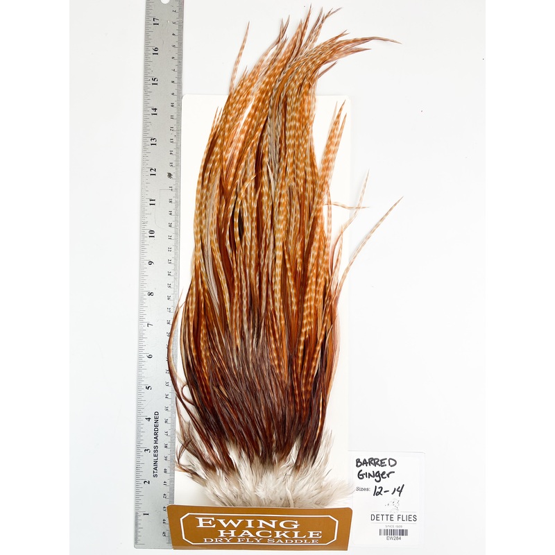 Barred Ginger – Ewing Dry Fly Rooster Saddle