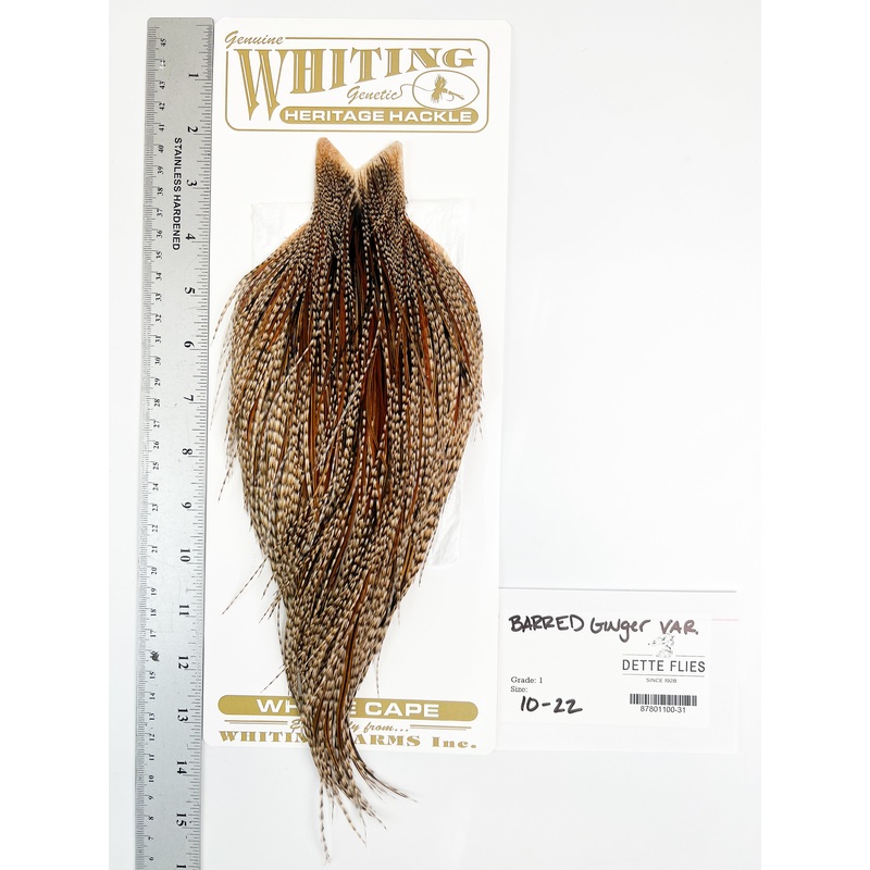 Barred Ginger Variant – Whiting Heritage Hackle Rooster Cape  – Grade 1