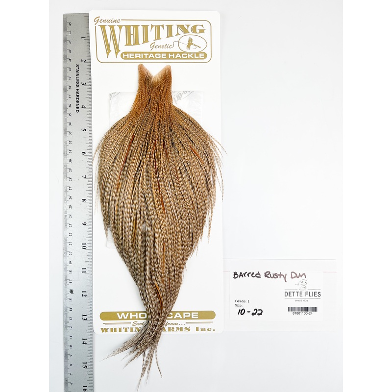 Barred Rusty Dun – Whiting Heritage Hackle Rooster Cape  – Grade 1