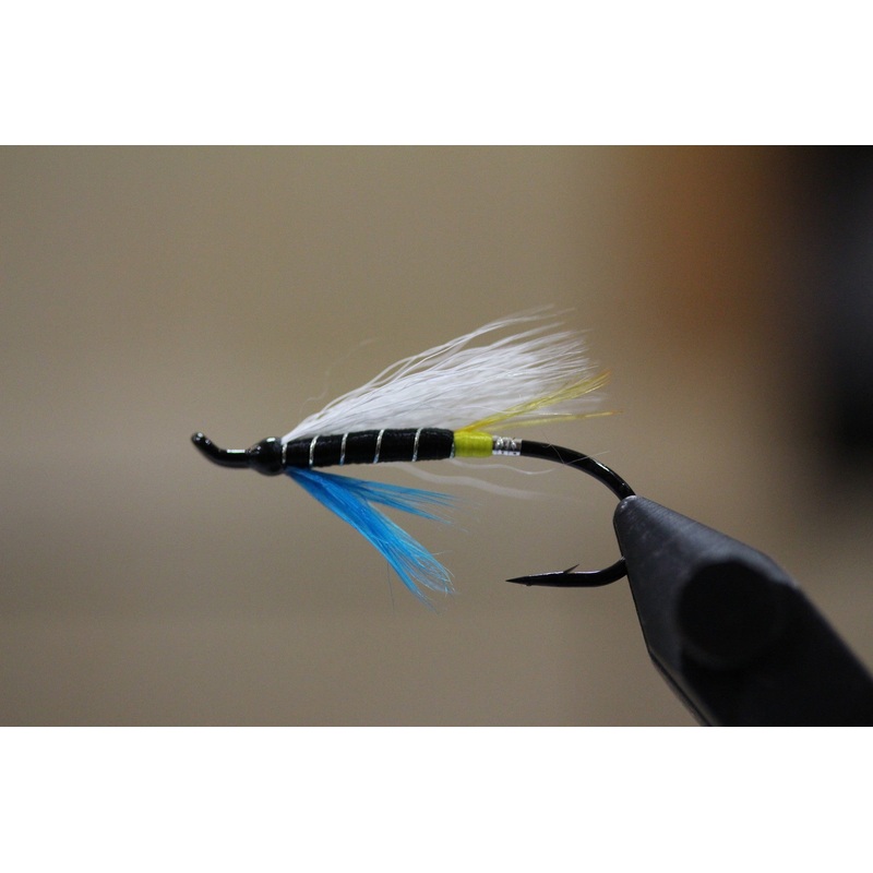 Blue Charm (White Wing) – Canadian Tied