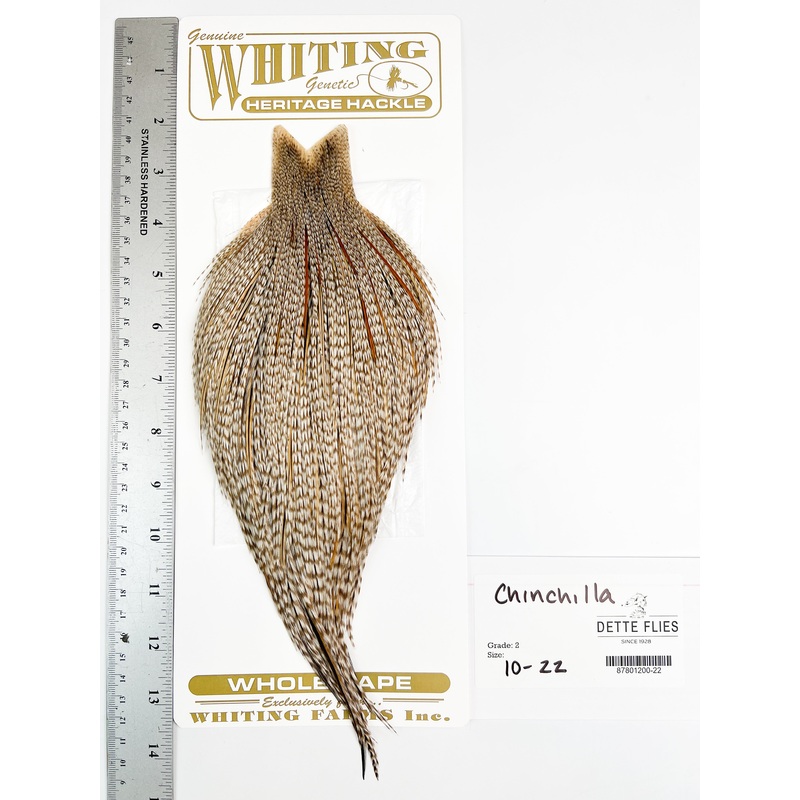Chinchilla – Whiting Heritage Hackle Rooster Cape  – Grade 2