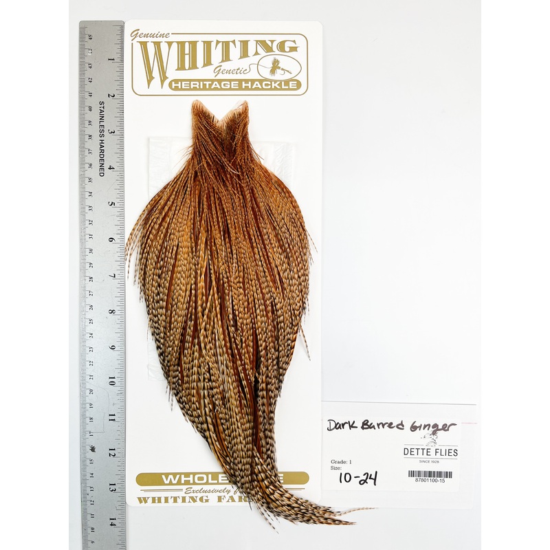 Dark Barred Ginger – Whiting Heritage Hackle Rooster Cape  – Grade 1