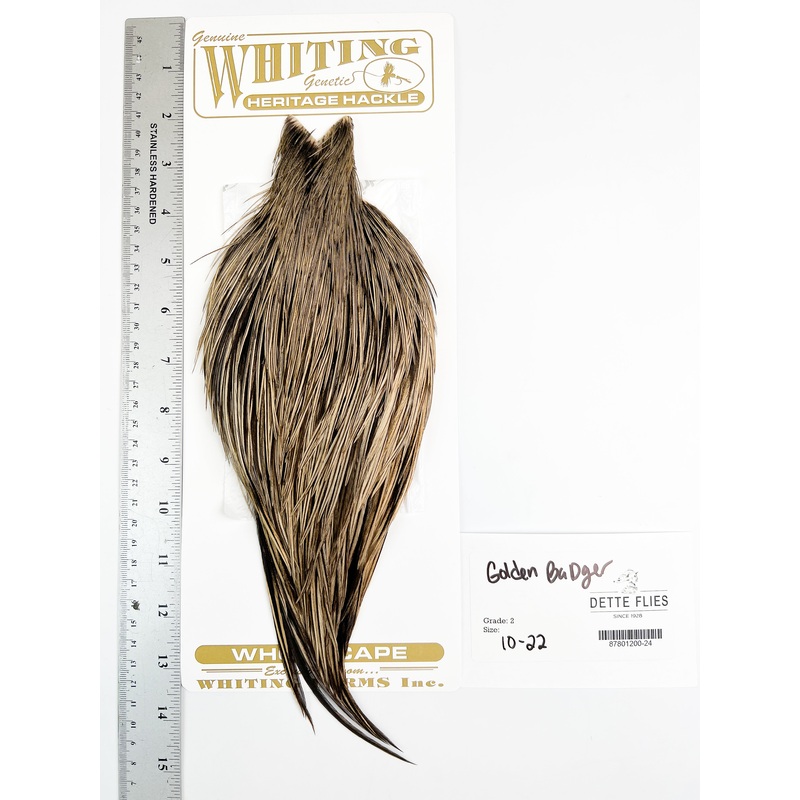 Golden Badger – Whiting Heritage Hackle Rooster Cape  – Grade 2