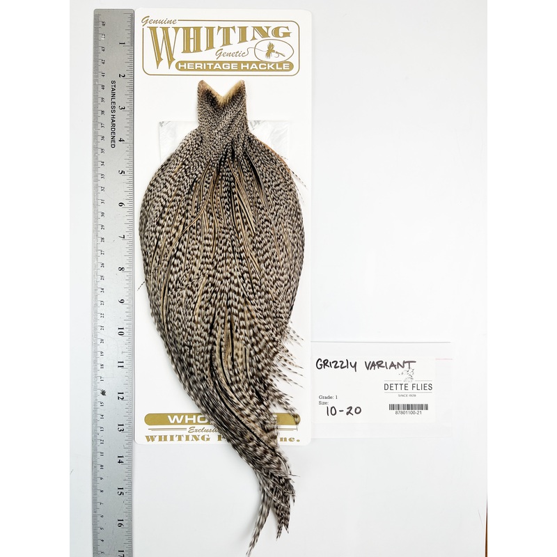 Grizzly Variant – Whiting Heritage Hackle Rooster Cape  – Grade 1