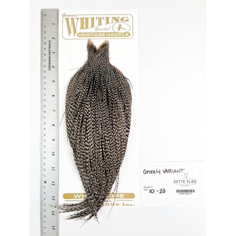 Grizzly Variant – Whiting Heritage Hackle Rooster Cape  – Grade 2