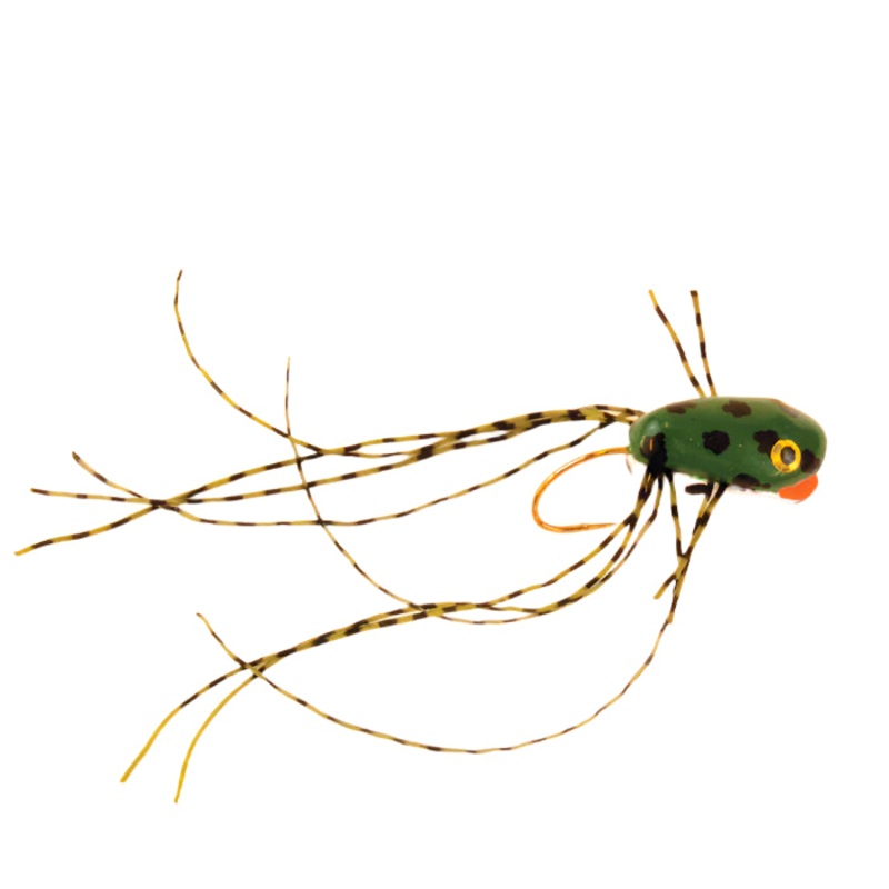 Herman’s Frog|Orange|Green|4