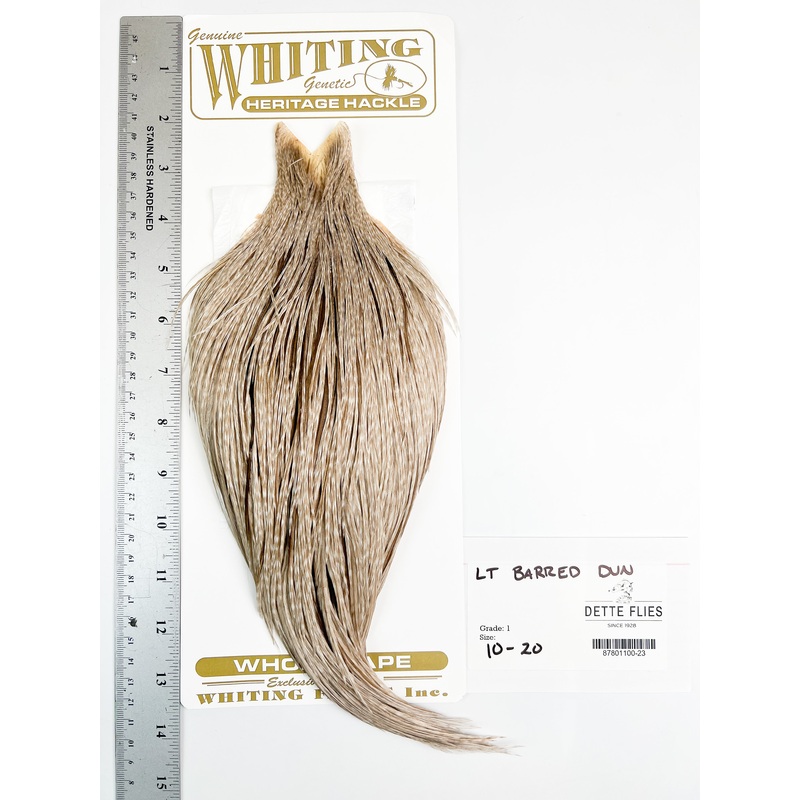 Light Barred Dun – Whiting Heritage Hackle Rooster Cape  – Grade 1