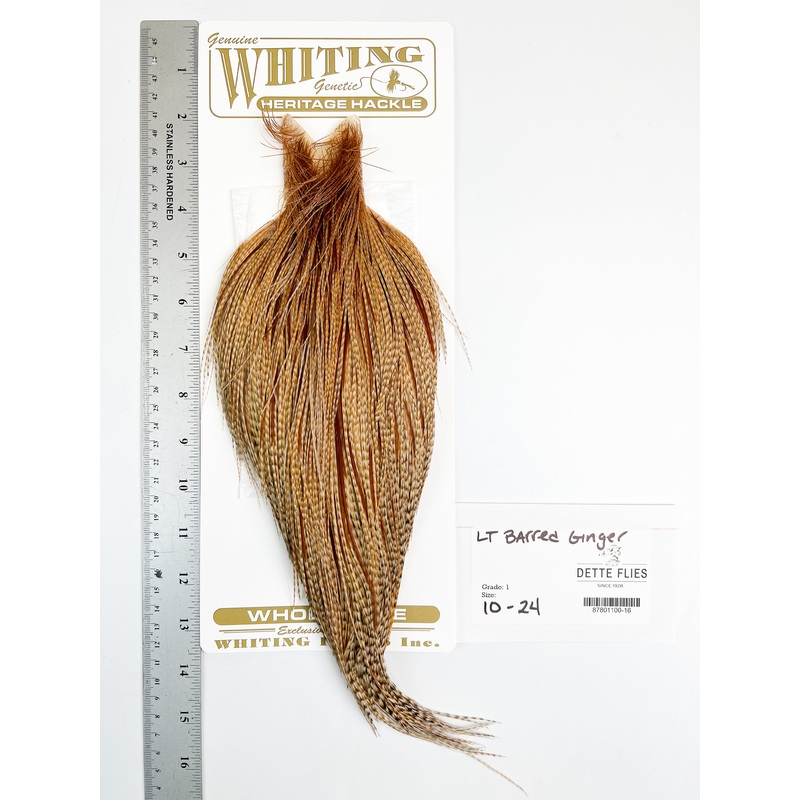 Light Barred Ginger – Whiting Heritage Hackle Rooster Cape  – Grade 1
