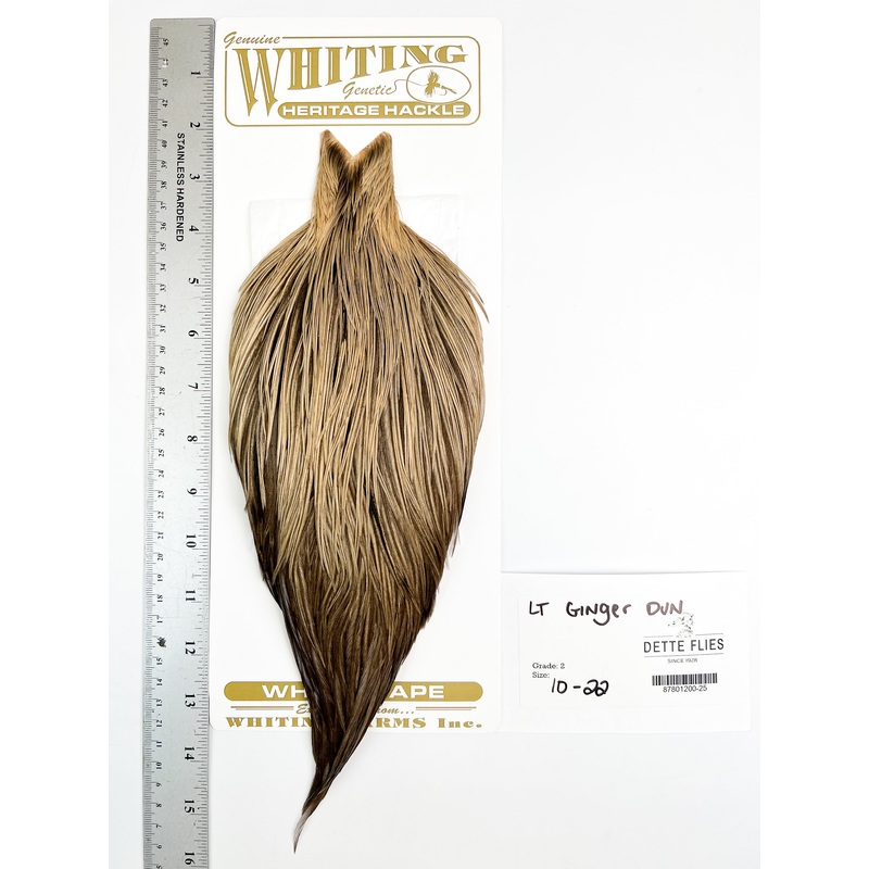 Light Ginger Dun – Whiting Heritage Hackle Rooster Cape  – Grade 2