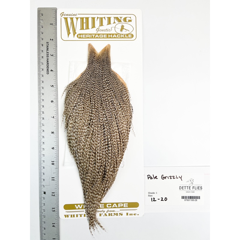 Pale Grizzly – Whiting Heritage Hackle Rooster Cape  – Grade 1