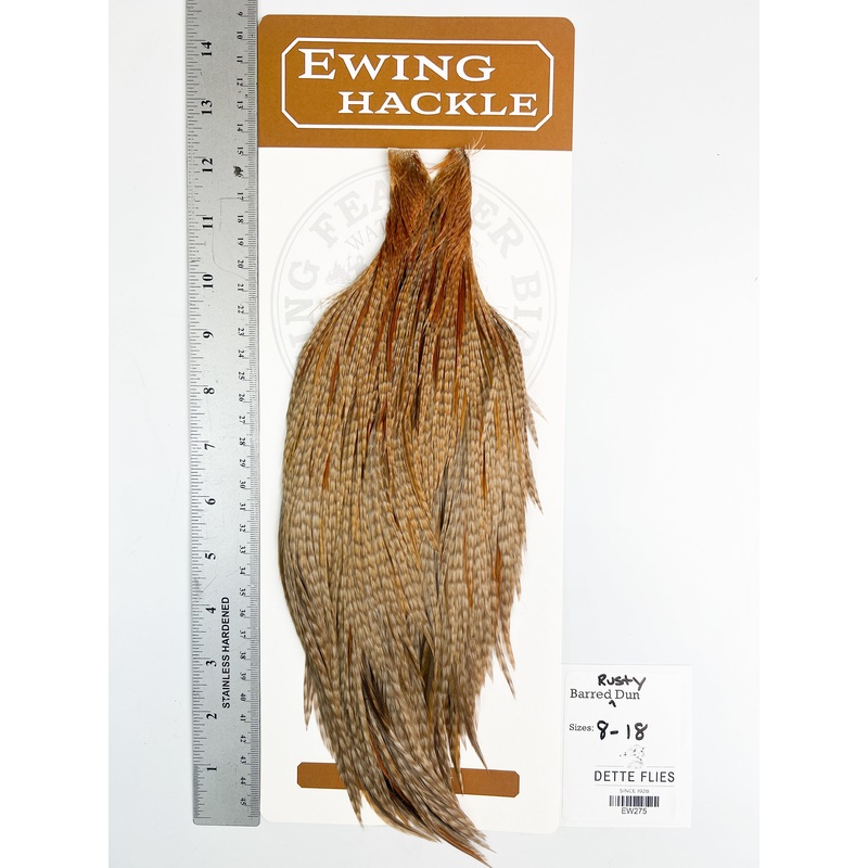 Rusty Barred Dun – Ewing Dry Fly Rooster Cape