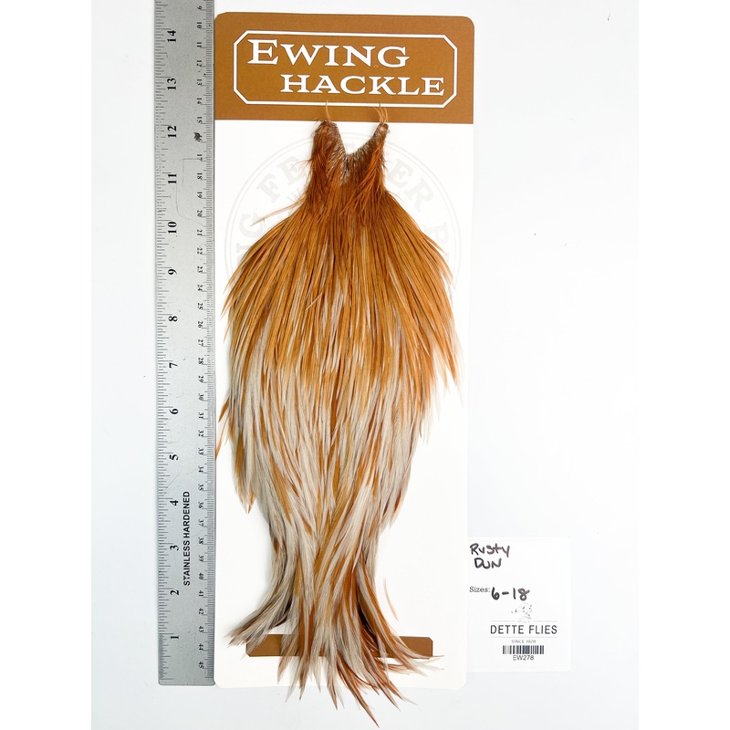 Rusty Dun – Ewing Dry Fly Rooster Cape