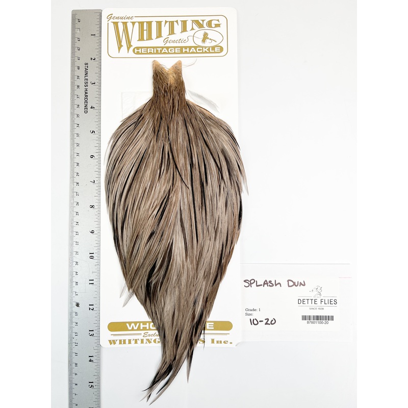 Splash Dun – Whiting Heritage Hackle Rooster Cape  – Grade 1