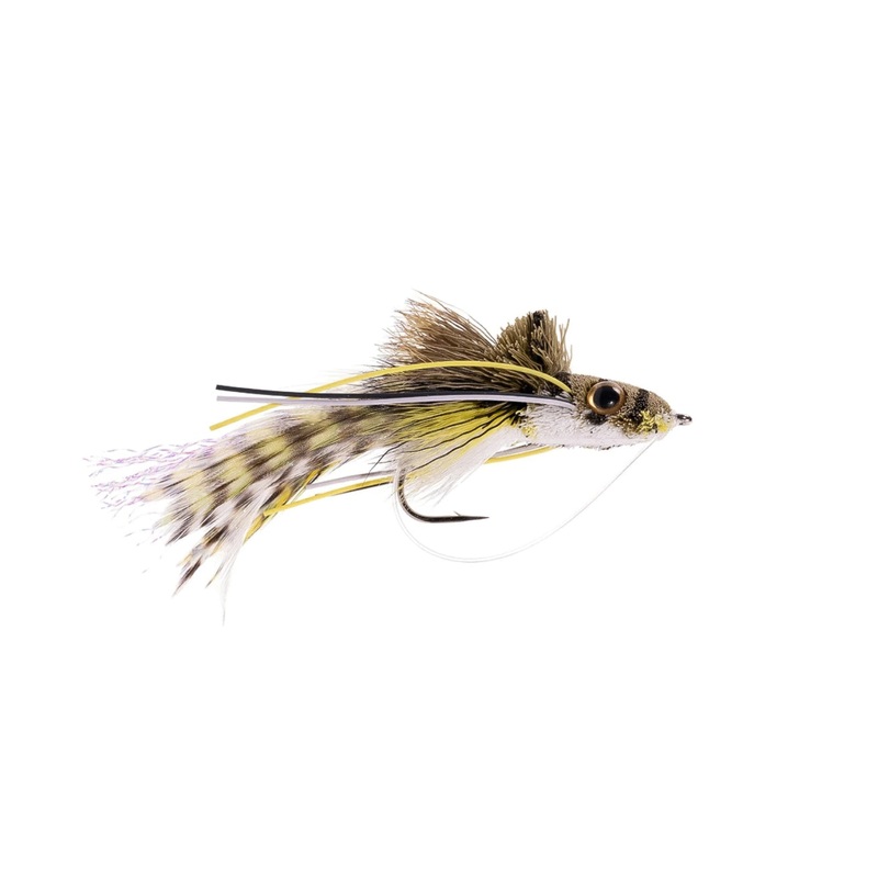 Umpqua Swimming Frog|6|10