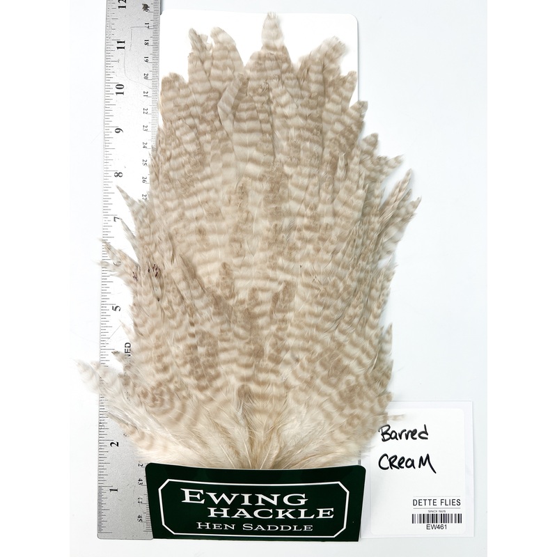 Barred Cream – Ewing Hen Saddle (461)