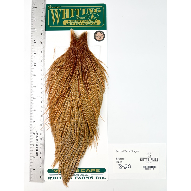 Barred Dark Ginger – Whiting Hebert Rooster Cape | Bronze Grade