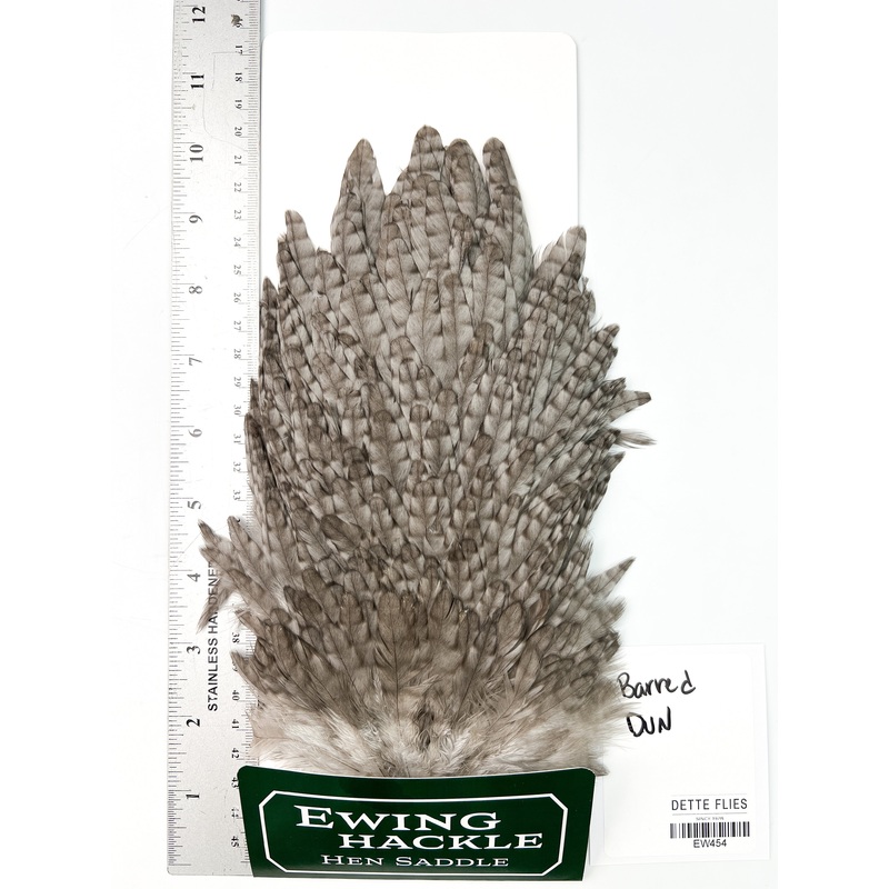 Barred Dun – Ewing Hen Saddle (454)
