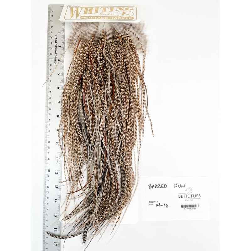 Barred Dun – Whiting Heritage Hackle Rooster Saddle – Grade 3