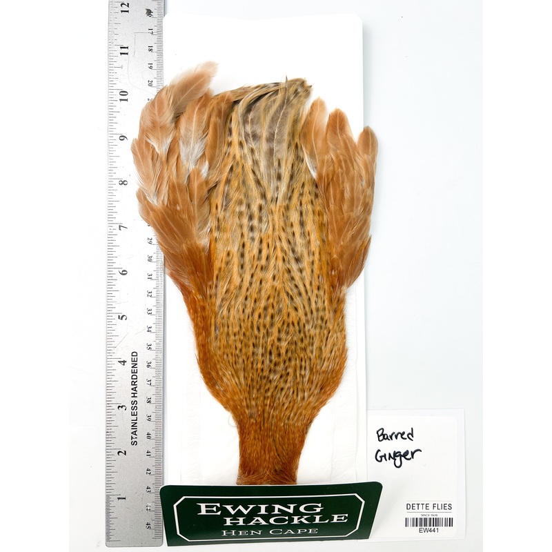 Barred Ginger – Ewing Hen Cape (441)