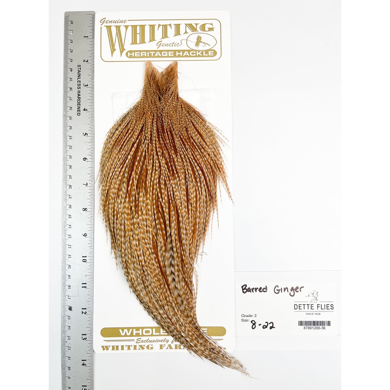 Barred Ginger – Whiting Heritage Hackle Rooster Cape  – Grade 2