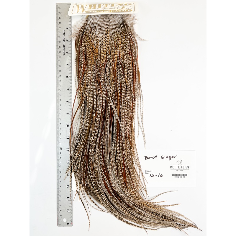 Barred Ginger – Whiting Heritage Hackle Rooster Saddle – Grade 1