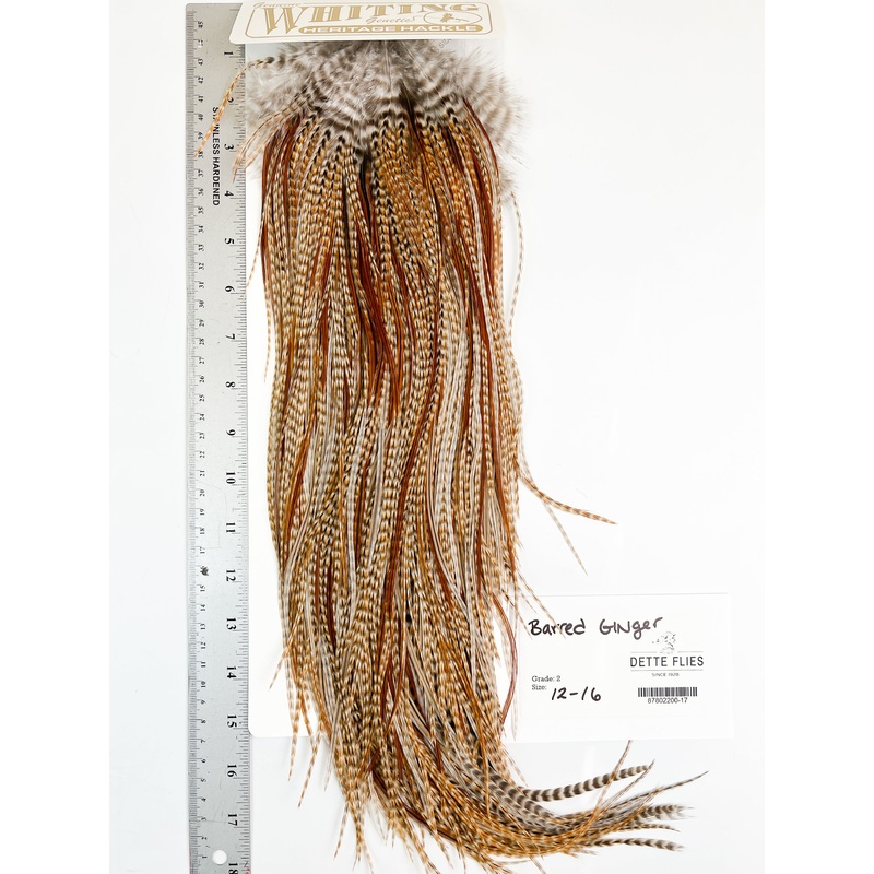 Barred Ginger – Whiting Heritage Hackle Rooster Saddle – Grade 2